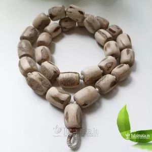 27+1  Big Original Tulsi Beads 20mm Thick and 25mm Long