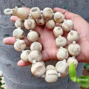 27+1 Big Beads Tulsi Japa Mala 20mm