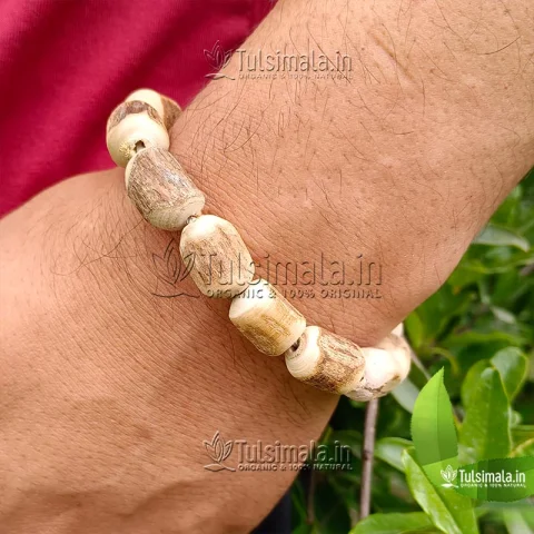 Big Beads Pure Shyama Beads Tulsi Bracelet